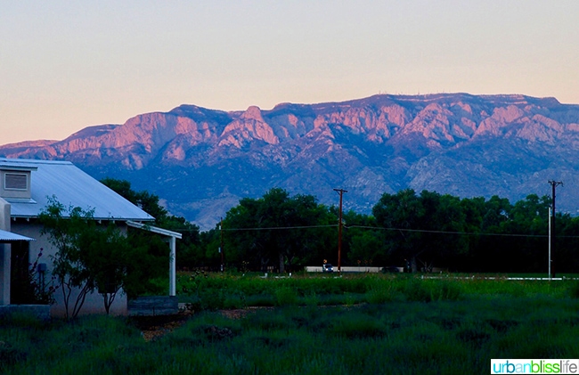 sandia mountains at sunset Los Poblanos Inn Albuquerque New Mexico