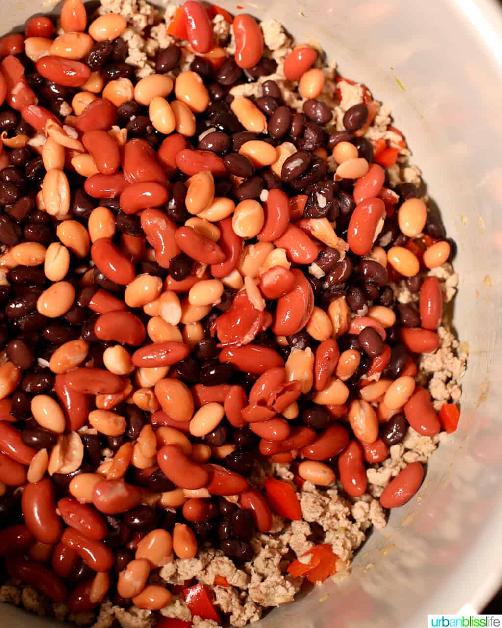 beans in instant pot