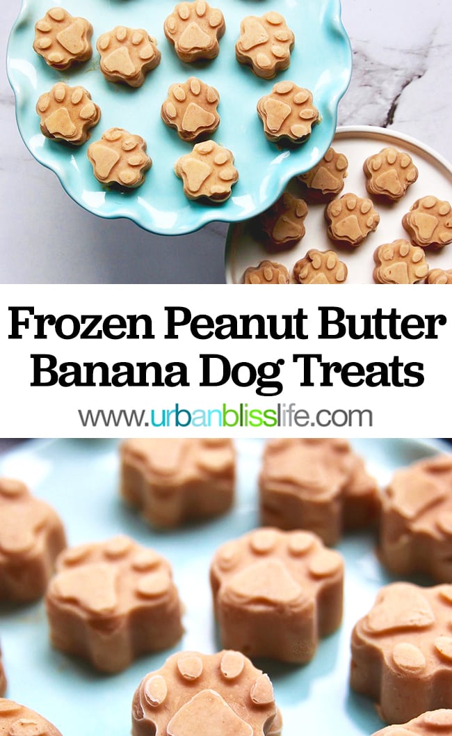 Frozen Peanut Butter Banana Dog Treats