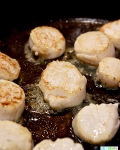Pan searing scallops