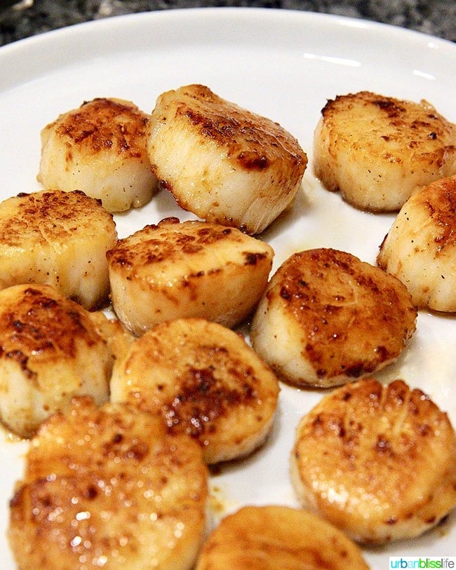 pan seared scallops resting for Seared scallops pasta