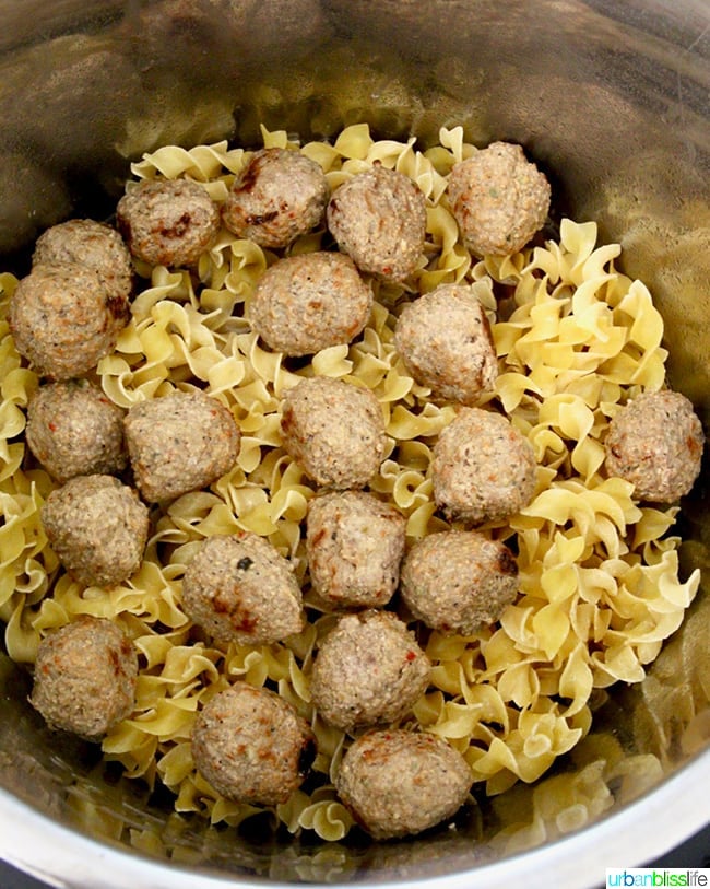 ingredients for Instant Pot Swedish Meatballs in instant pot