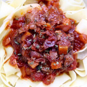 closeup of Instant Pot Short Rib Ragu