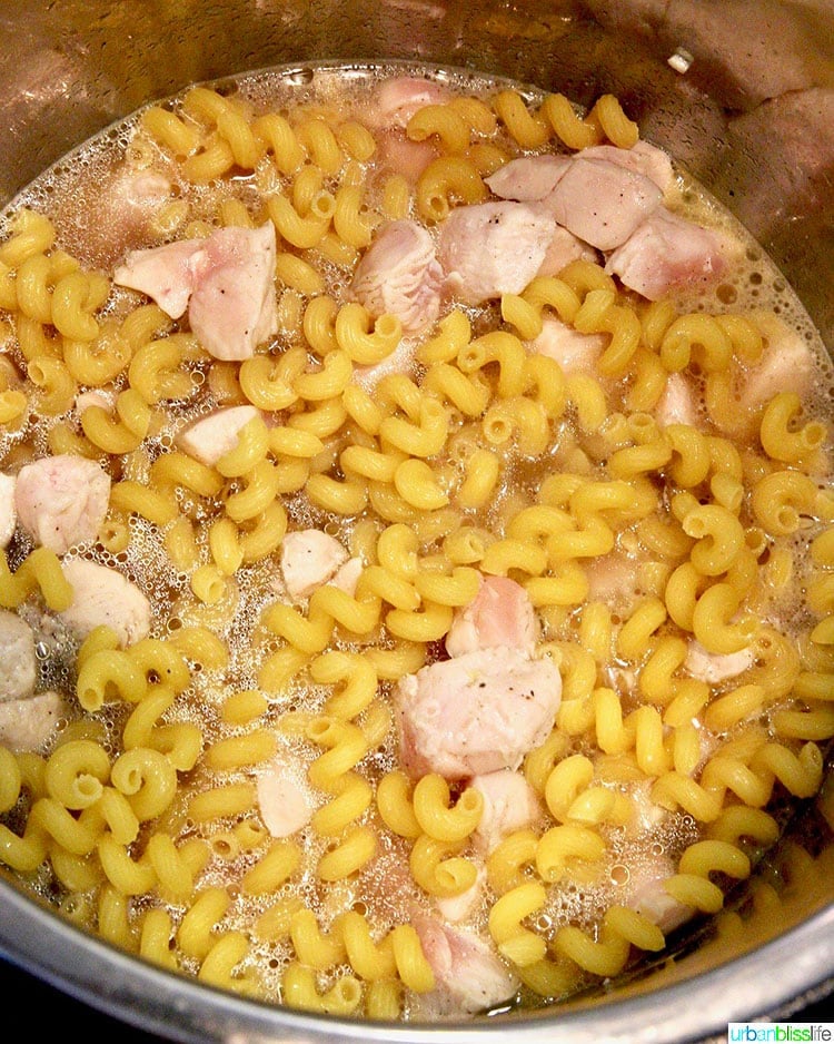 adding water to Dairy-Free Instant Pot Tuscan Chicken Pasta