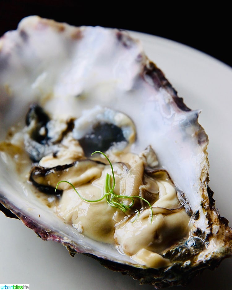 oyster at Guinness Storehouse