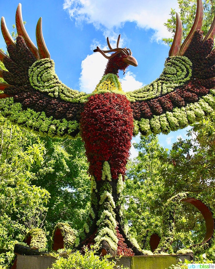 garden sculpture of a phoenix rising.