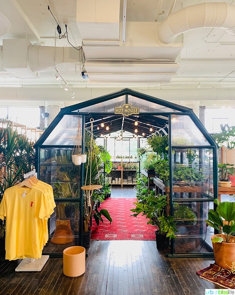 indoor garden display at Ponce City Market.