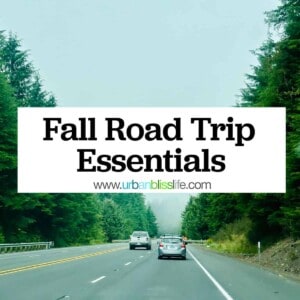 Oregon highway with title text that reads "Fall Road Trip Essentials."