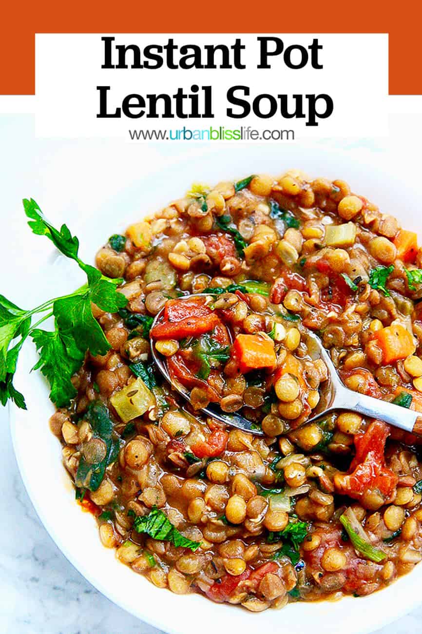 Instant Pot Lentil Soup with title text