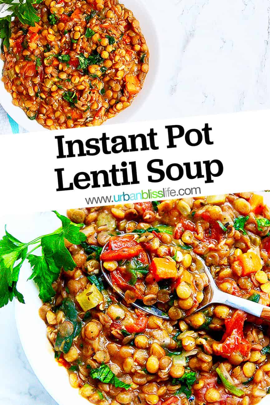 Instant Pot Lentil Soup with title text