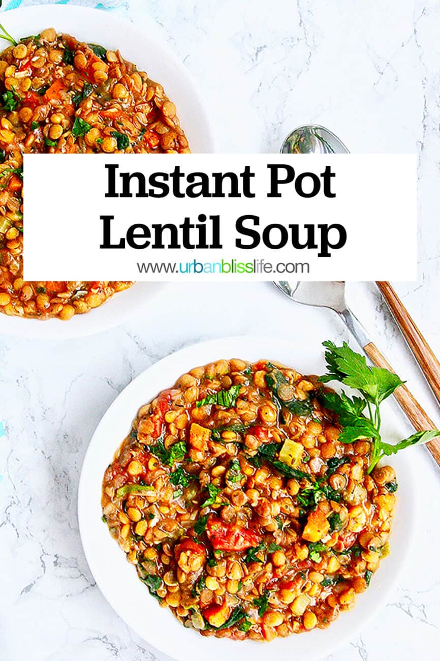 Instant Pot Lentil Soup with title text