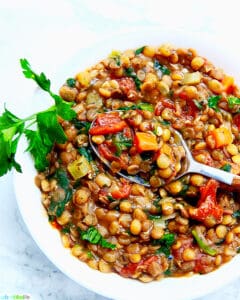 one bowl of Instant Pot Lentil Soup