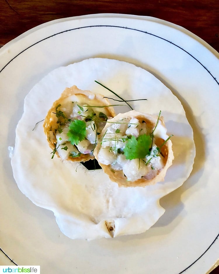 coconut milk starters.