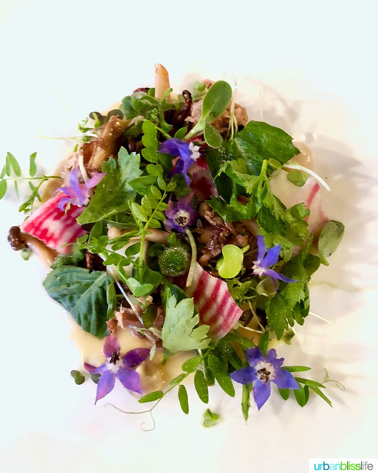 colorful salad.