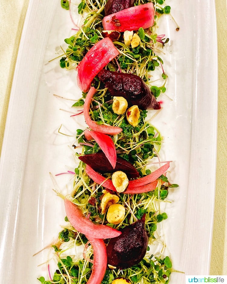 beet salad at Stephanie Inn restaurant