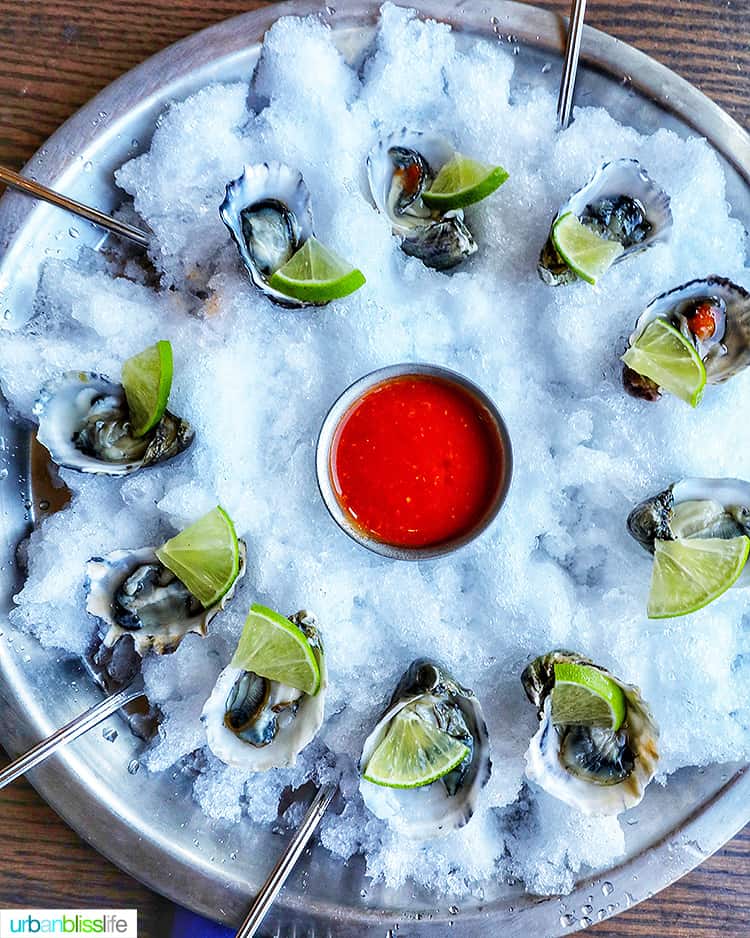 oysters at Wayfarer restaurant