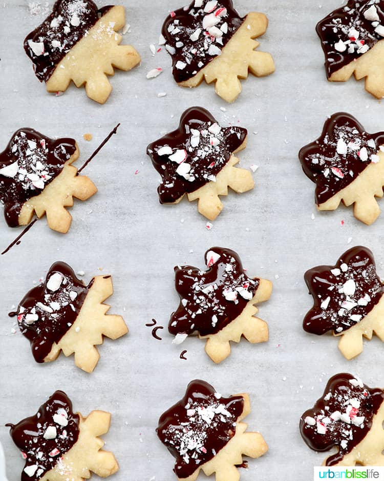 chocolate dipped peppermint shortbread cookies snowflakes