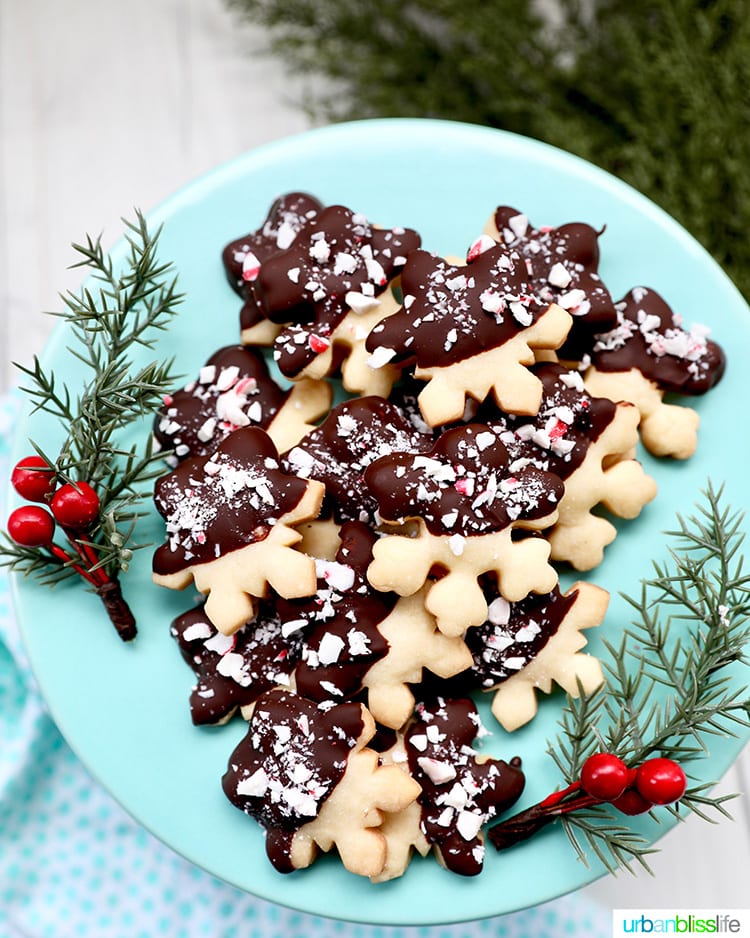 chocolate dipped peppermint shortbread cookies on a plate