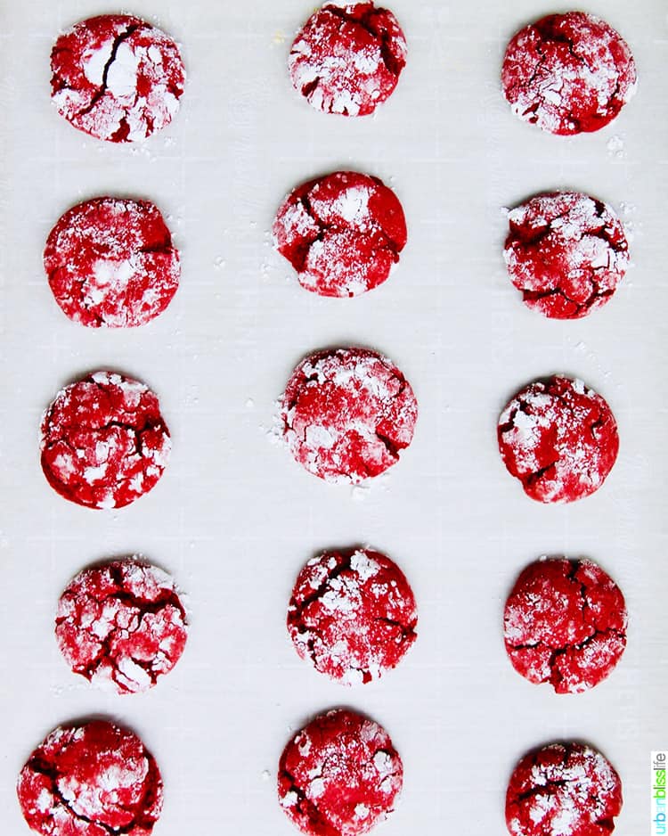 red velvet crinkle cookies on a baking sheet
