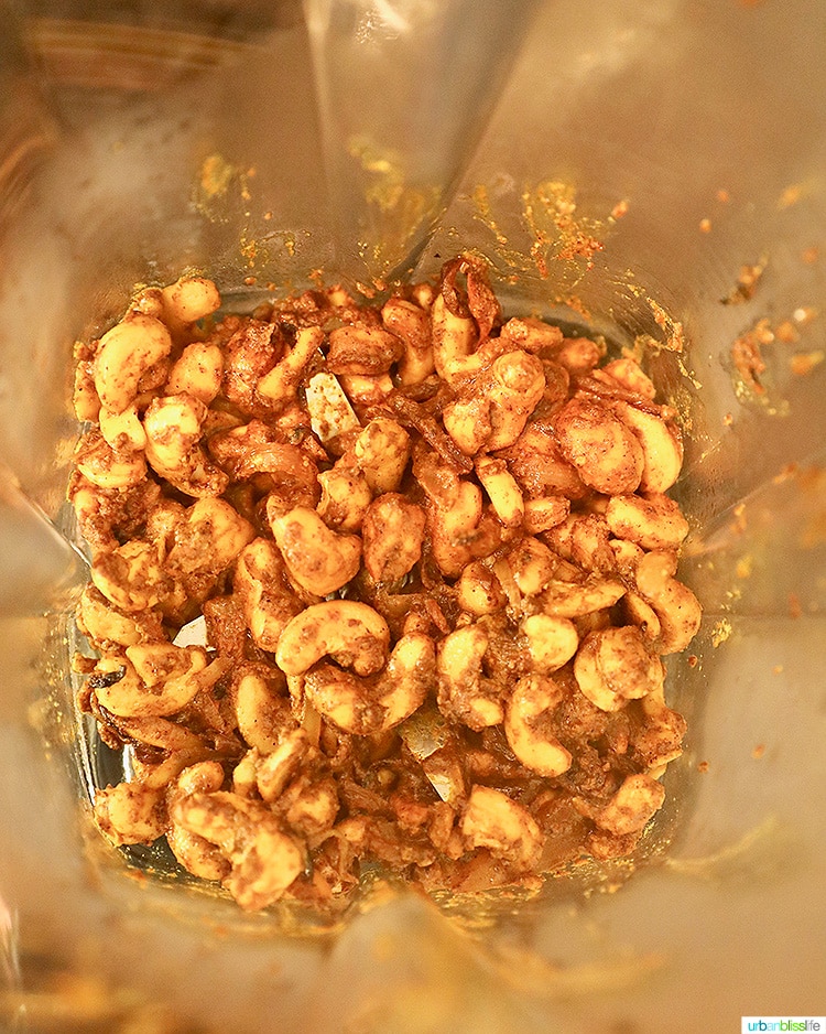 cashews and spices in vitamix blender
