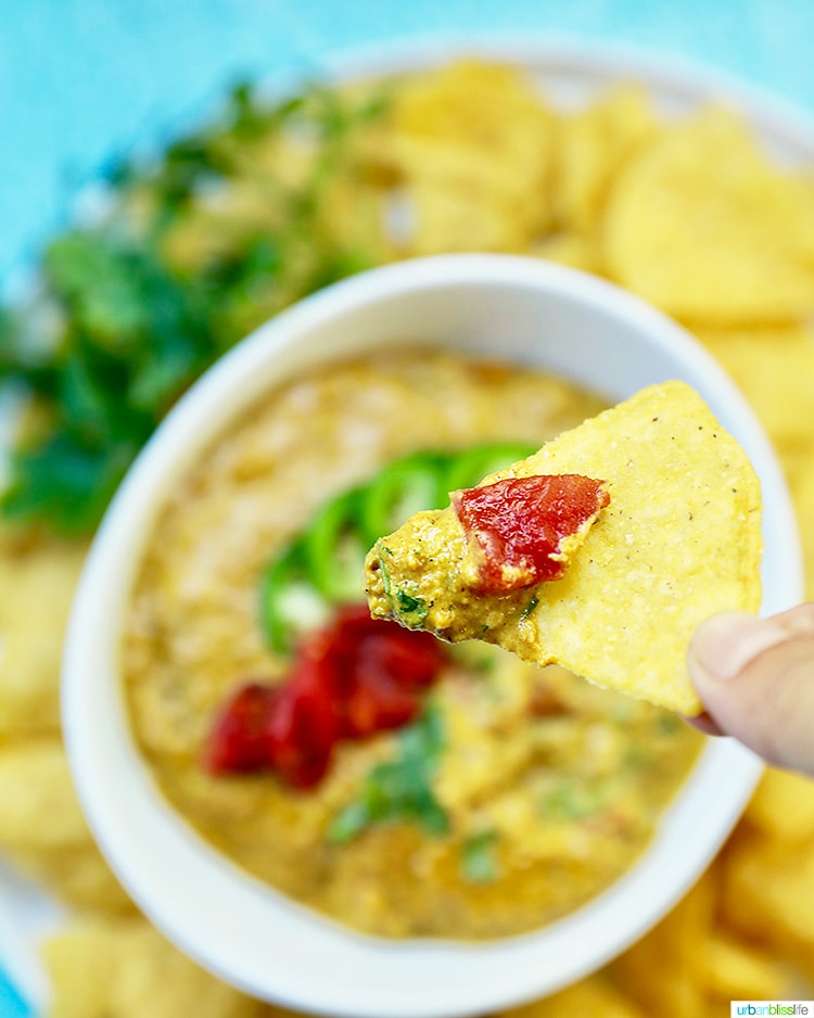 chip scooped up cashew cheese dip
