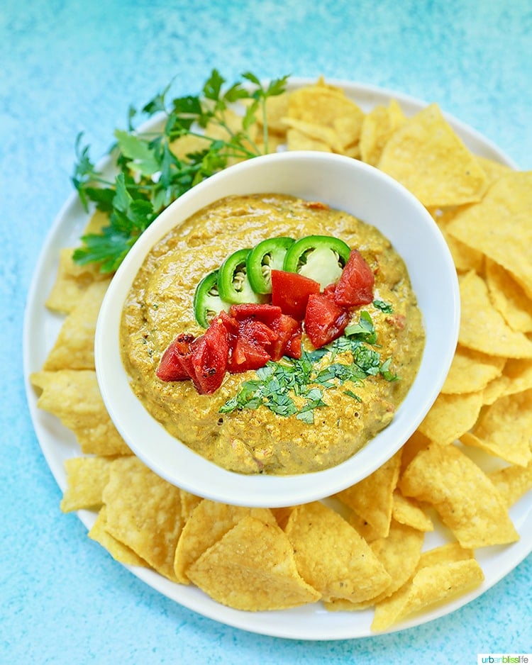 tall photo of Dairy Free Queso Dip and chips