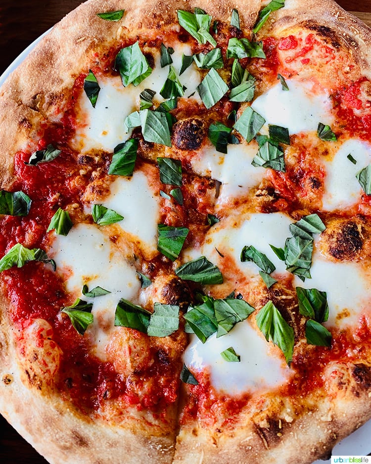 margherita pizza