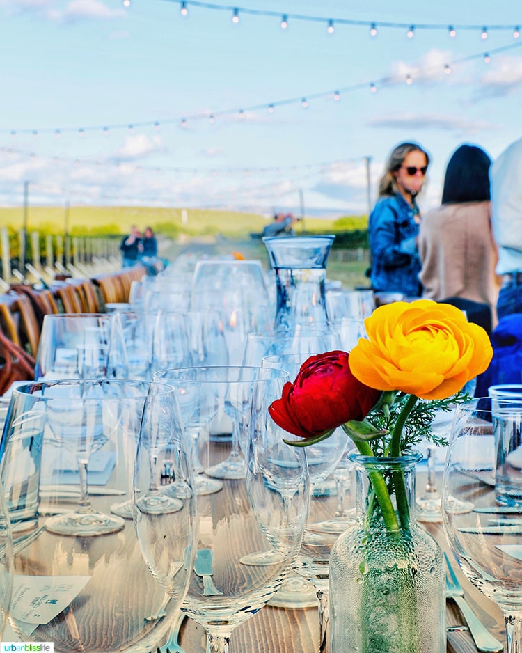 table setting at harvest celebration dinner walla walla vineyard