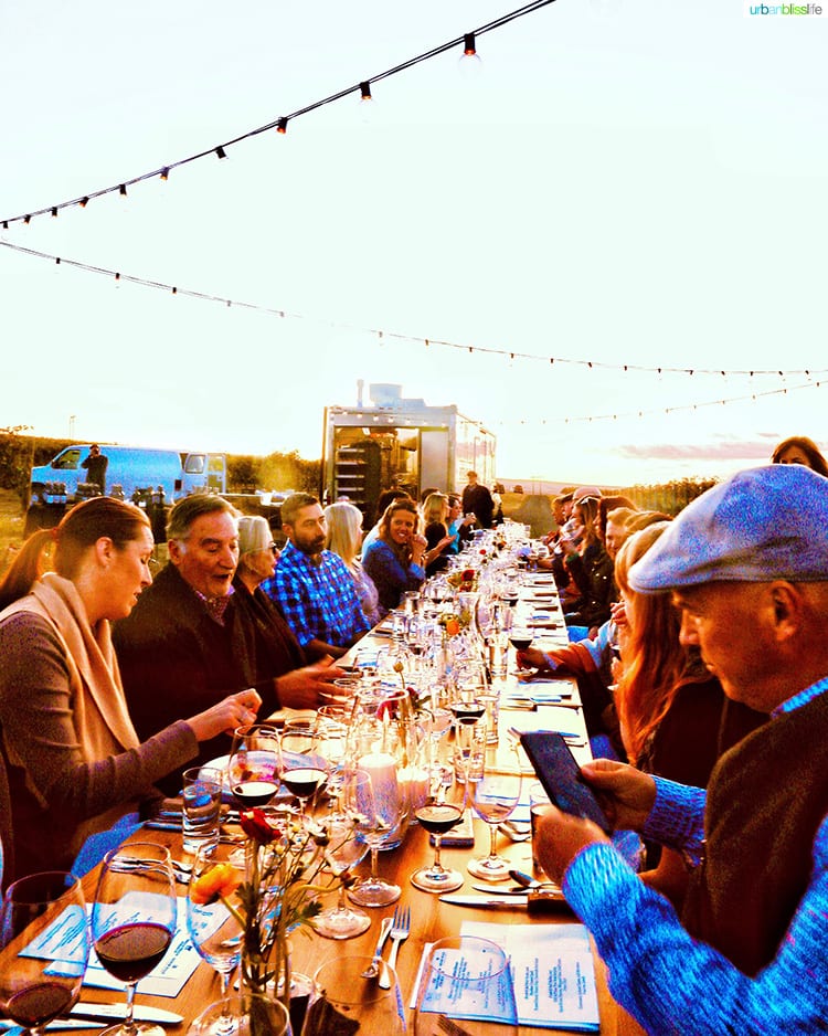 harvest celebration dinner walla walla vineyard