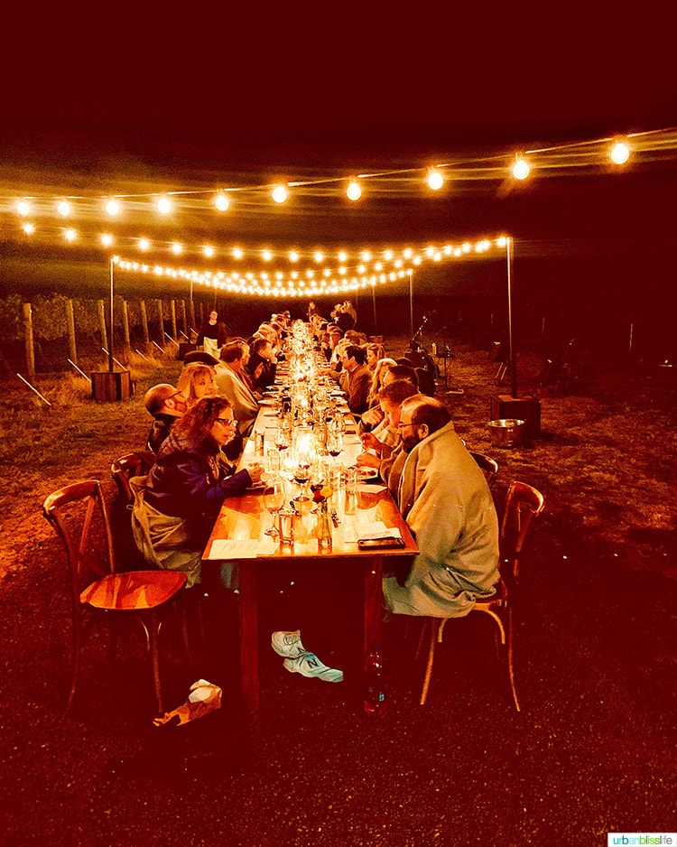 dark night at harvest celebration dinner walla walla vineyard