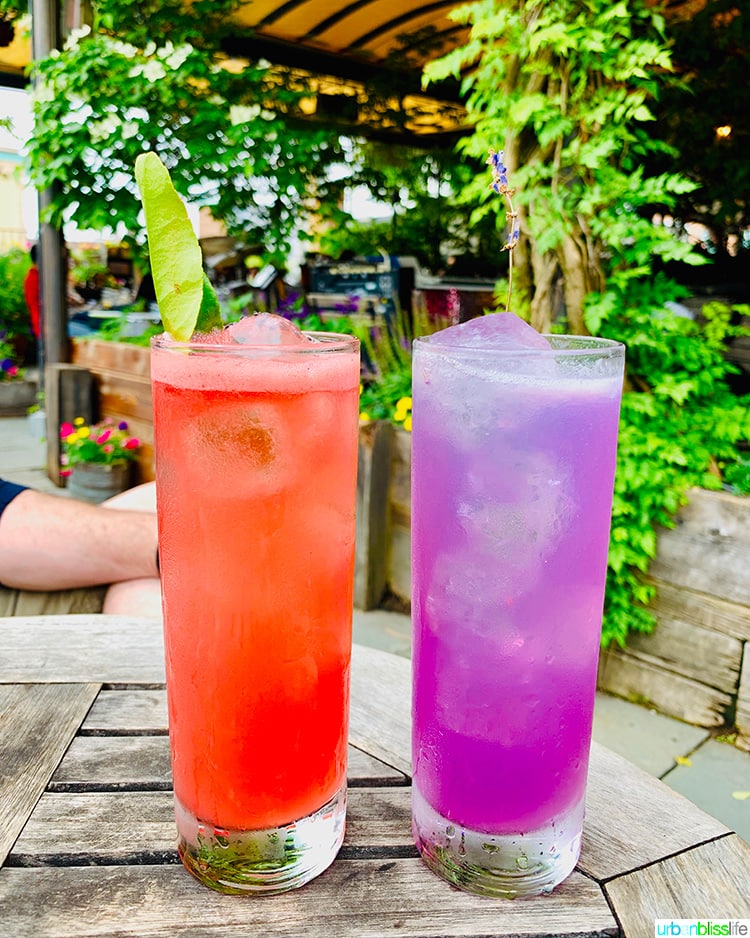 Colorful cocktails at Gallow Green in NYC