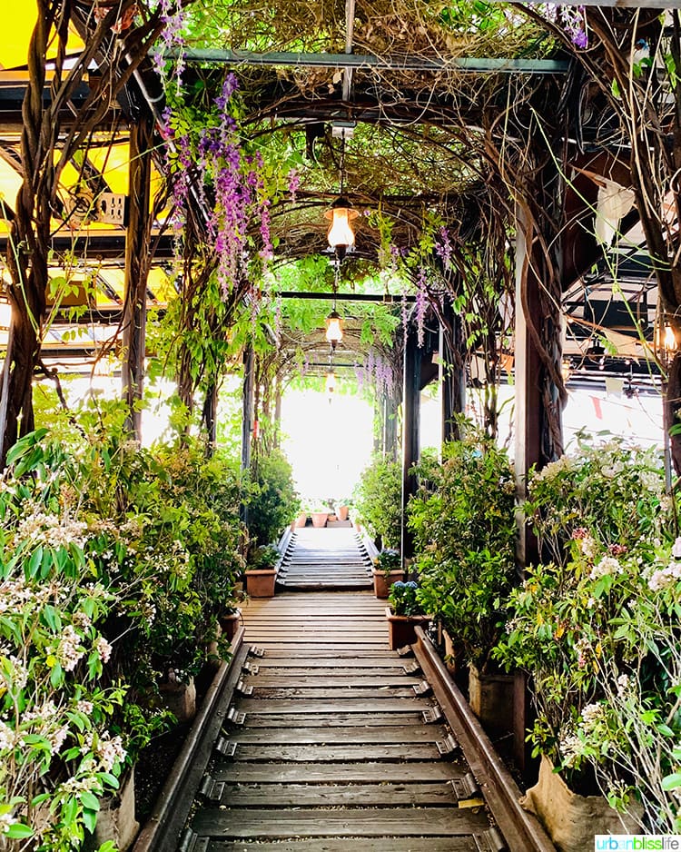 Gallow Green rooftop bar in NYC