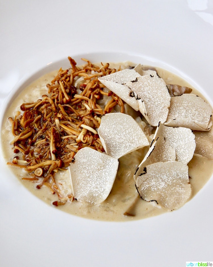 truffle mushroom risotto at queensyard restaurant NYC 
