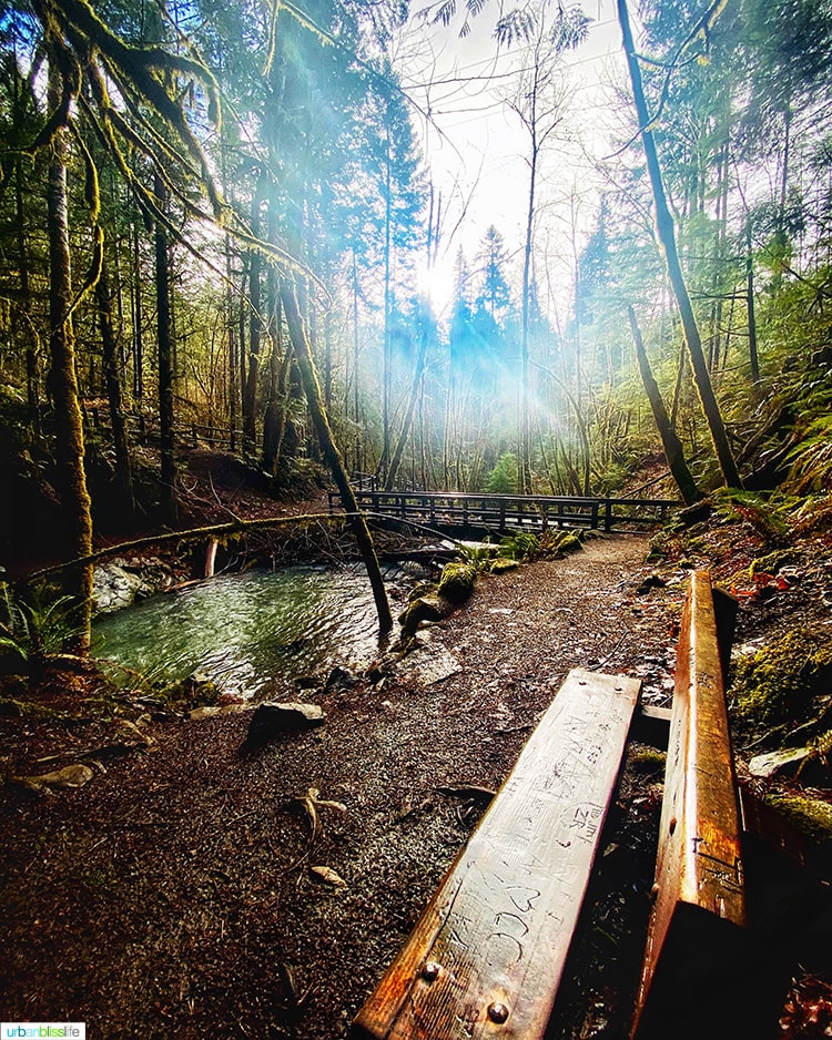 bench and sunshine at Susan Creek Falls