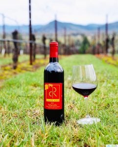wine bottle and red wine glass at Roseburg wineries