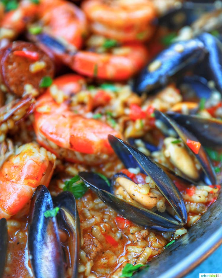 closeup of mussels and shrimp paella