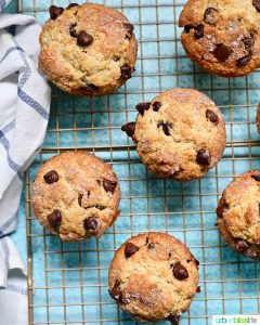 Chocolate Chip Muffins
