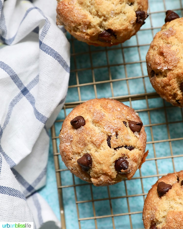 best chocolate chip muffins