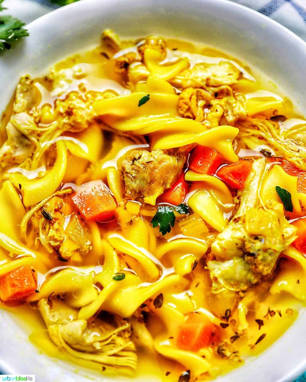 full frame photo of instant pot chicken noodle soup