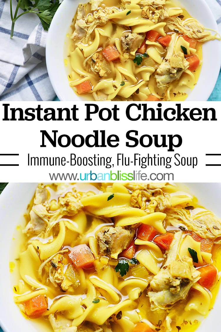 Instant Pot Chicken Noodle Soup