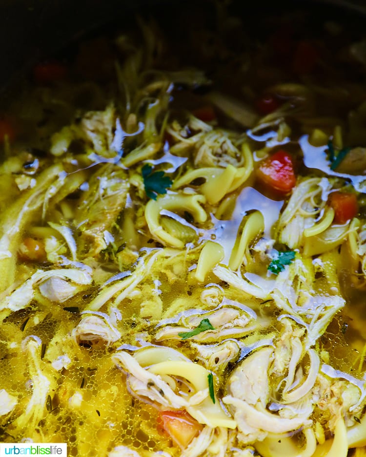 Instant Pot Chicken Noodle Soup