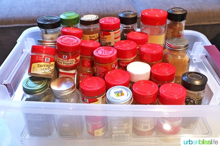 pantry spices