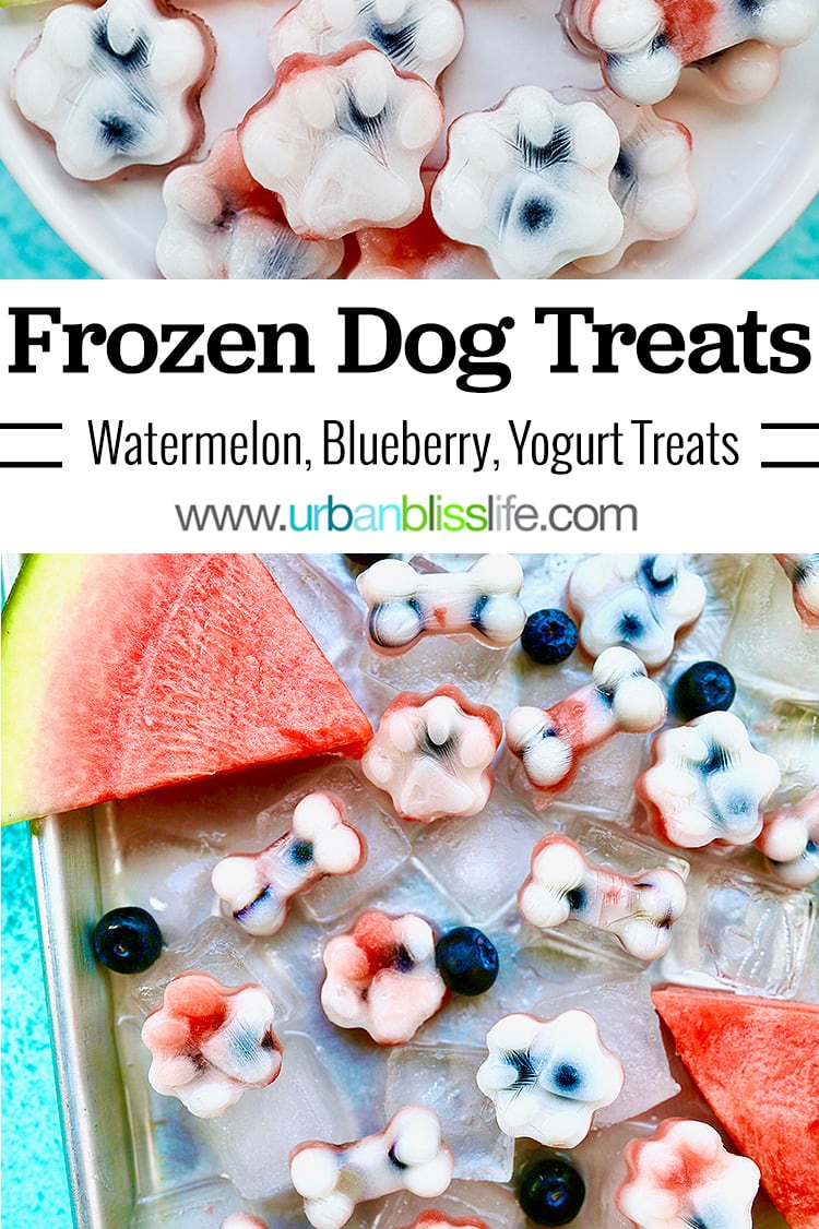 Frozen dog treats: watermelon, blueberry, yogurt dog treats