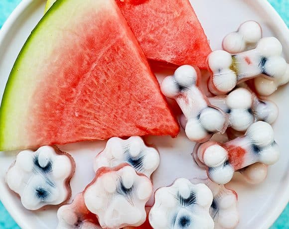 Frozen dog treats: watermelon, blueberry, yogurt dog treats