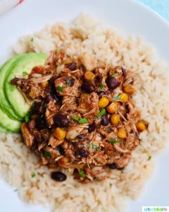 Instant Pot Fiesta Chicken