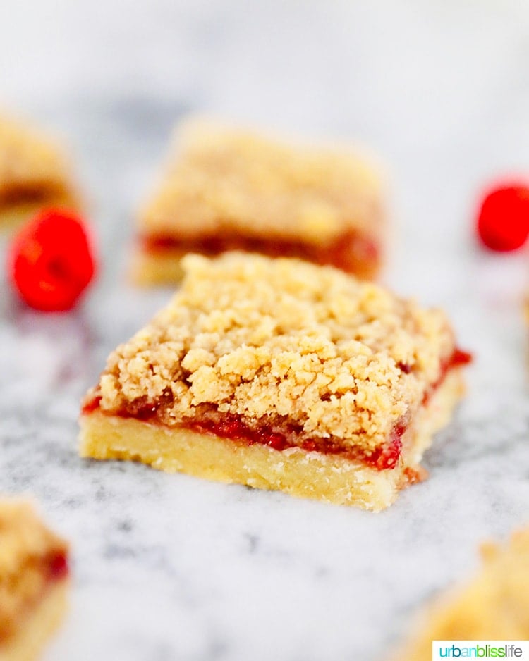 single Raspberry Crumble Bar