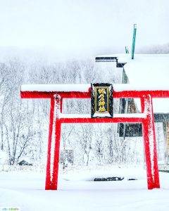 red torii gates in Aomori Japan