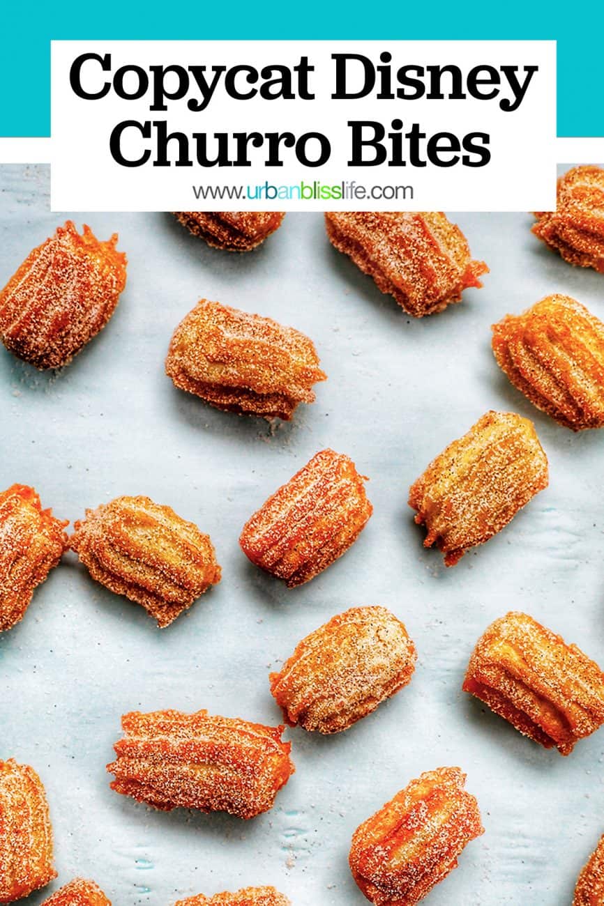 main graphic for cinnamon sugar churros