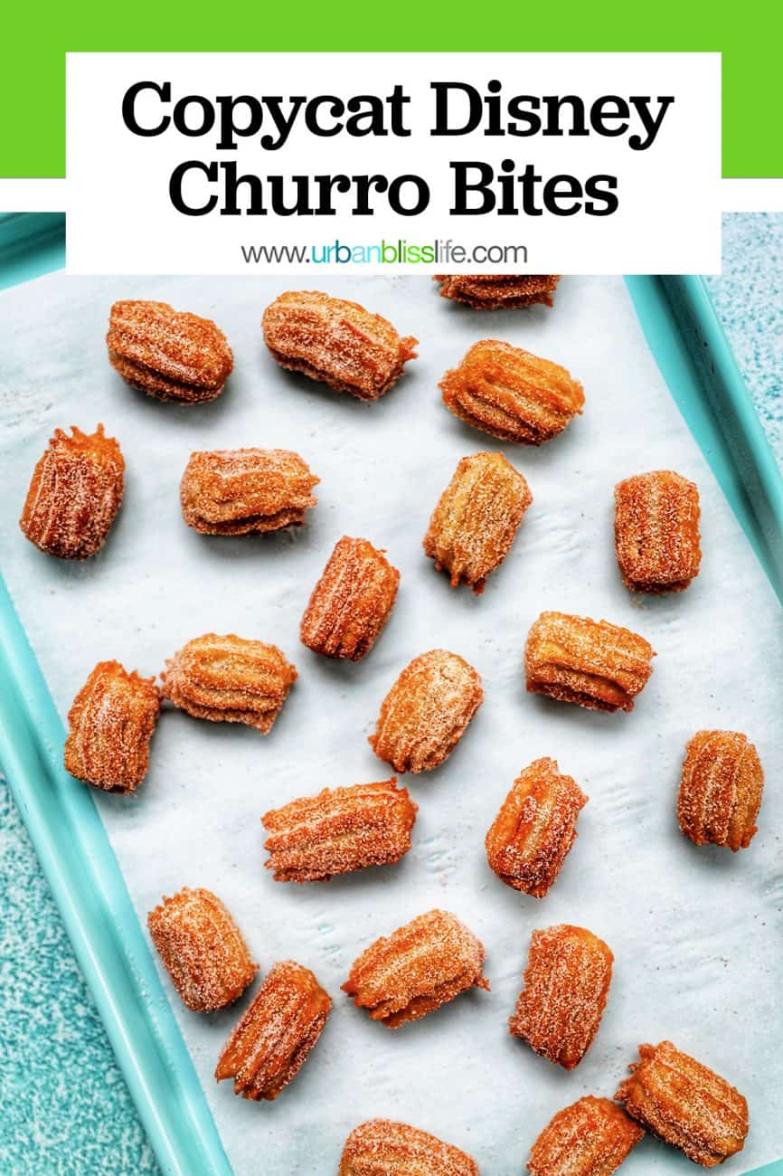 main graphic for cinnamon sugar churros