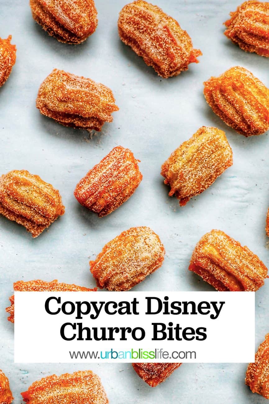 main graphic for cinnamon sugar churros
